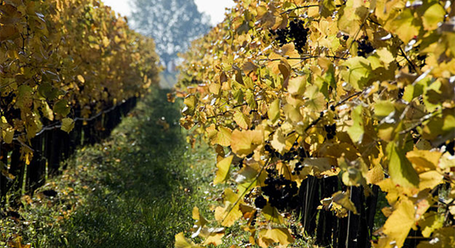 1041_副本 1041_副本