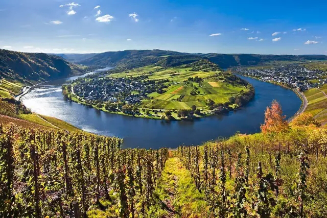 全球升溫，或將影響葡萄酒口感