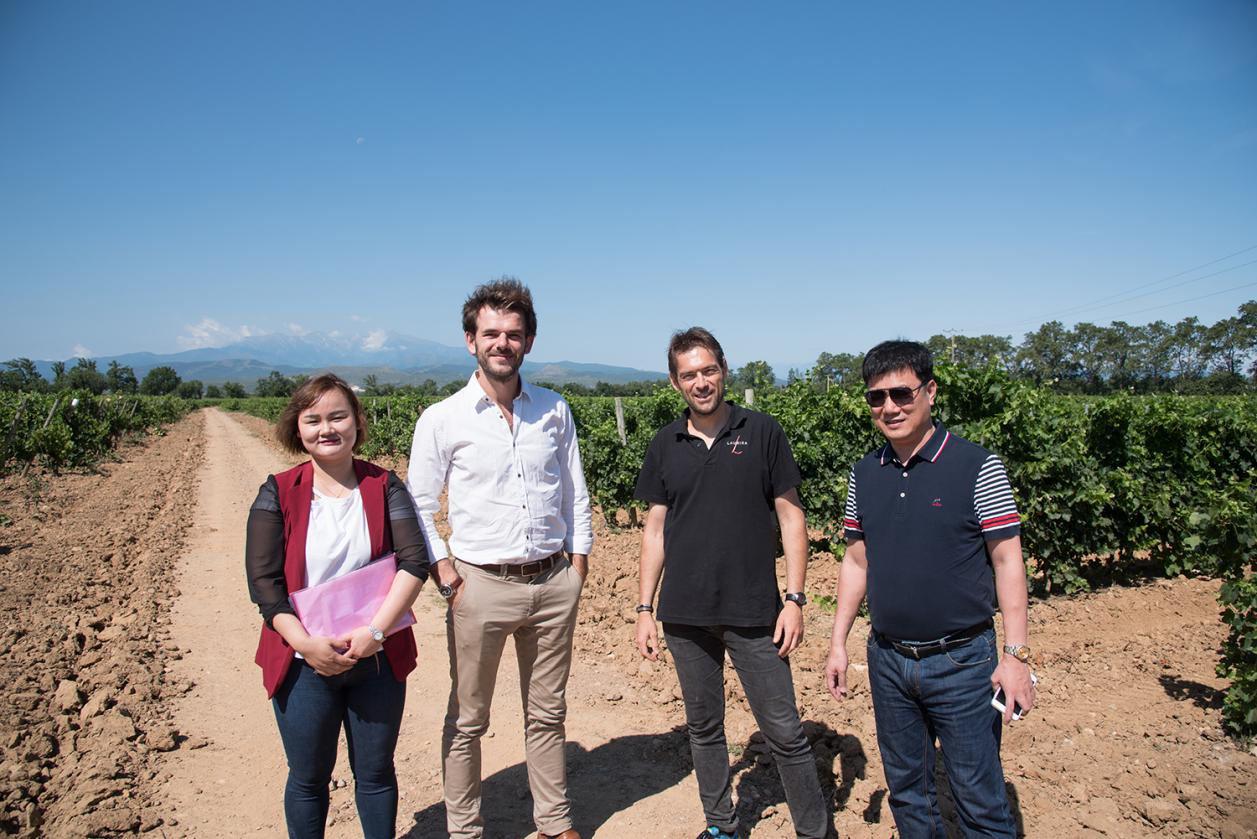 藍(lán)菲酒業(yè)董事長(zhǎng)莊榮昌先生到訪法國大愛莊園酒莊